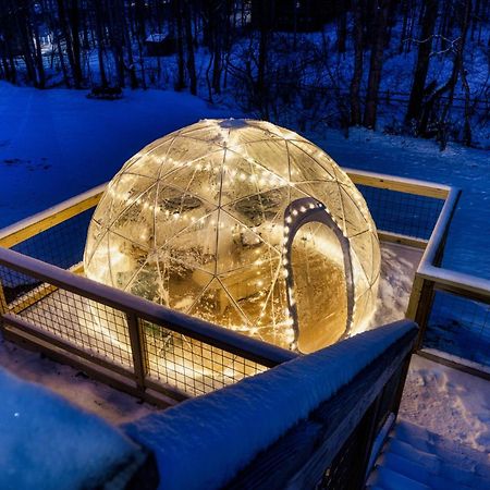 The Moondance Cabin By Lightfoot Stays Vacation Rentals 塞维尔维尔 外观 照片