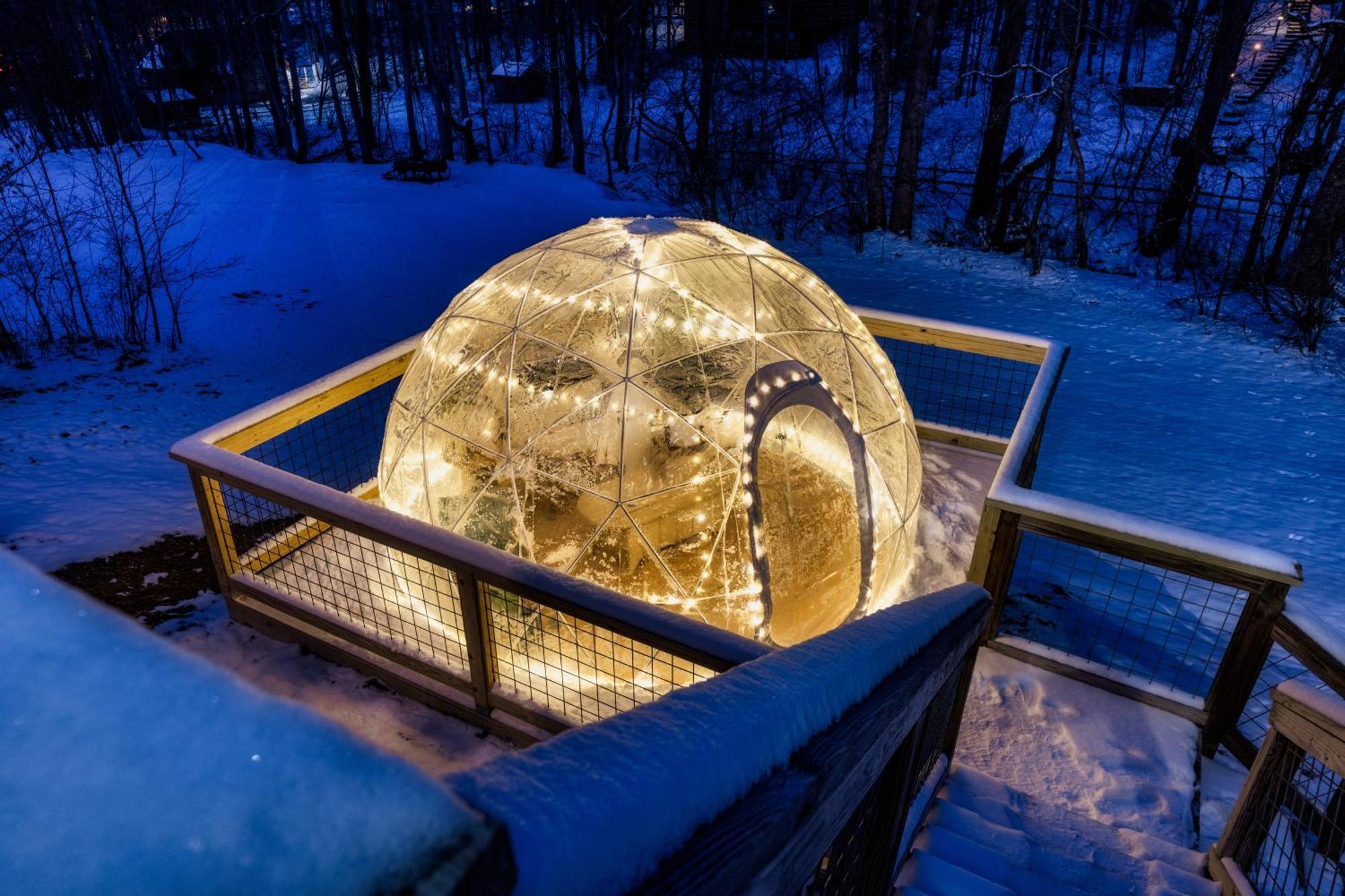 The Moondance Cabin By Lightfoot Stays Vacation Rentals 塞维尔维尔 外观 照片